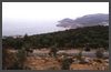 1986 Griechenland - Insel Aegina